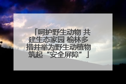 呵护野生动物 共建生态家园 榆林多措并举为野生动植物筑起“安全屏障”