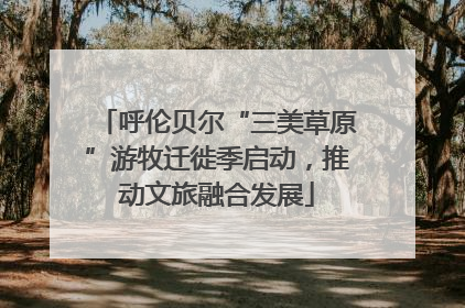 呼伦贝尔“三美草原”游牧迁徙季启动，推动文旅融合发展