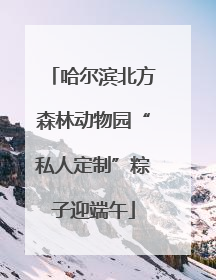 哈尔滨北方森林动物园“私人定制”粽子迎端午