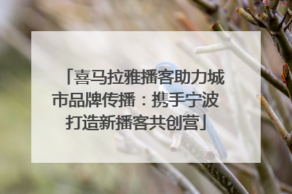喜马拉雅播客助力城市品牌传播：携手宁波打造新播客共创营