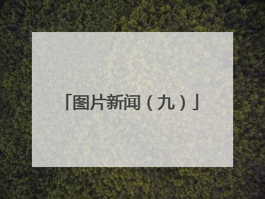 图片新闻（九）