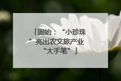 固始：“小珍珠”亮出农文旅产业“大手笔”