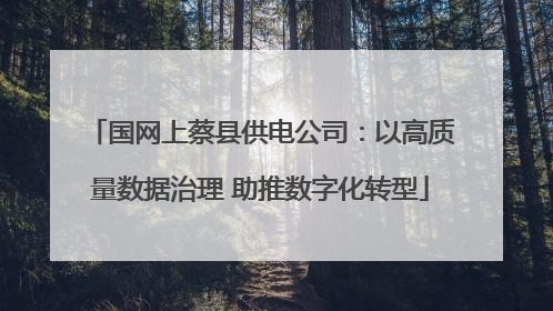 国网上蔡县供电公司：以高质量数据治理 助推数字化转型