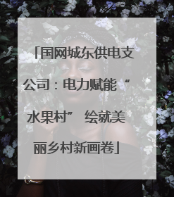 国网城东供电支公司：电力赋能“水果村” 绘就美丽乡村新画卷