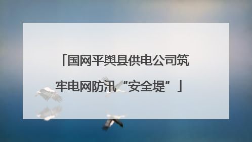 国网平舆县供电公司筑牢电网防汛“安全堤”