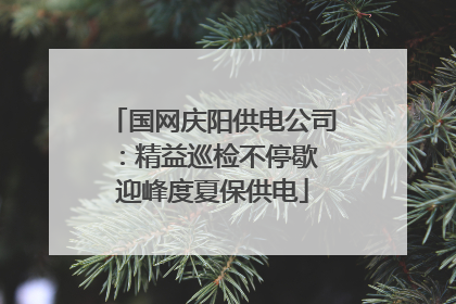 国网庆阳供电公司：精益巡检不停歇 迎峰度夏保供电