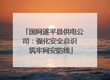 国网遂平县供电公司：强化安全意识 筑牢网安防线