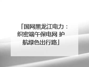 国网黑龙江电力：织密端午保电网 护航绿色出行路