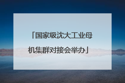 国家级沈大工业母机集群对接会举办