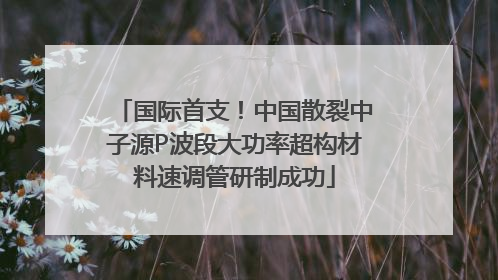 国际首支！中国散裂中子源P波段大功率超构材料速调管研制成功