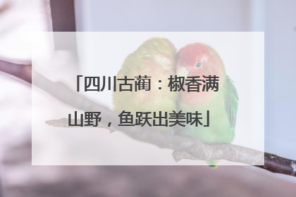 四川古蔺：椒香满山野，鱼跃出美味