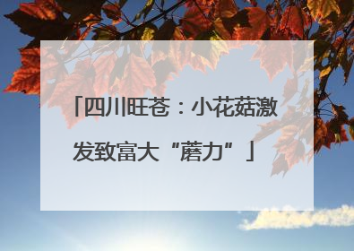 四川旺苍：小花菇激发致富大“蘑力”
