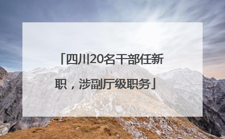 四川20名干部任新职，涉副厅级职务