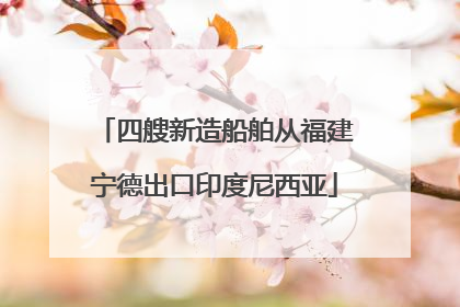 四艘新造船舶从福建宁德出口印度尼西亚