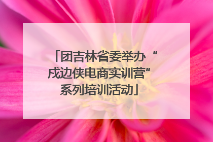 团吉林省委举办“戍边侠电商实训营”系列培训活动