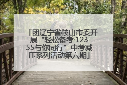 团辽宁省鞍山市委开展“轻松备考·12355与你同行”中考减压系列活动第六期