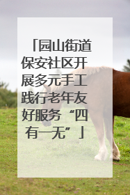园山街道保安社区开展多元手工践行老年友好服务“四有一无”