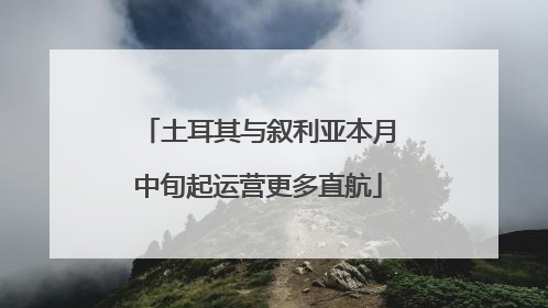 土耳其与叙利亚本月中旬起运营更多直航