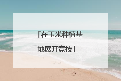 在玉米种植基地展开竞技