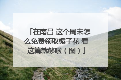在南昌 这个周末怎么免费领取栀子花 看这篇就够啦（图）