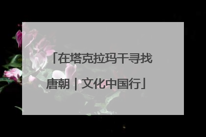 在塔克拉玛干寻找唐朝｜文化中国行