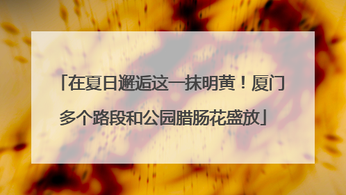 在夏日邂逅这一抹明黄！厦门多个路段和公园腊肠花盛放