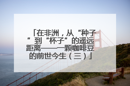 在非洲，从“种子”到“杯子”的遥远距离——一颗咖啡豆的前世今生（三）