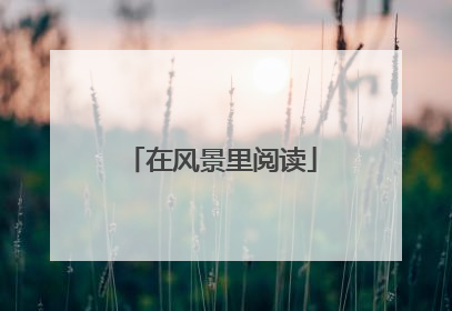 在风景里阅读