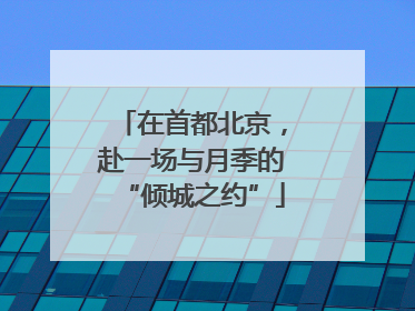 在首都北京，赴一场与月季的“倾城之约”