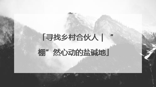 寻找乡村合伙人｜“棚”然心动的盐碱地