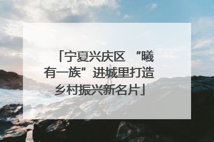 宁夏兴庆区 “曦有一族”进城里打造乡村振兴新名片