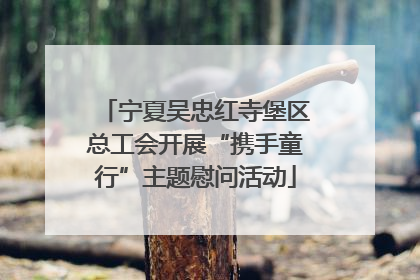 宁夏吴忠红寺堡区总工会开展“携手童行”主题慰问活动