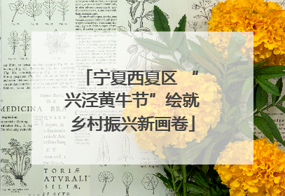 宁夏西夏区 “兴泾黄牛节”绘就乡村振兴新画卷