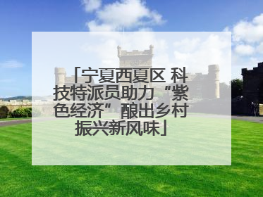 宁夏西夏区 科技特派员助力“紫色经济”酿出乡村振兴新风味