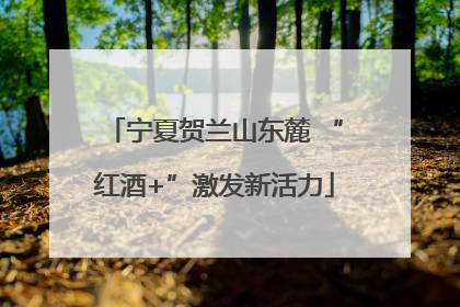 宁夏贺兰山东麓 “红酒+”激发新活力