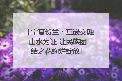 宁夏贺兰：互嵌交融 山水为证 让民族团结之花绚烂绽放