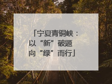 宁夏青铜峡：以“新”破题 向“绿”而行