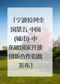 宁波位列全国第五 中国(城市)-中东欧国家开放创新合作指数发布