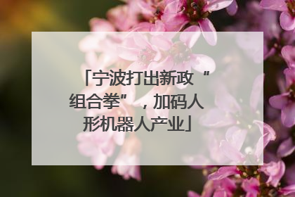 宁波打出新政“组合拳”，加码人形机器人产业