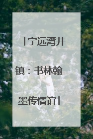 宁远湾井镇：书林翰墨传情谊