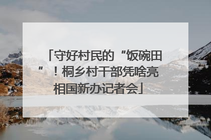 守好村民的“饭碗田”！桐乡村干部凭啥亮相国新办记者会
