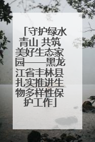 守护绿水青山 共筑美好生态家园——黑龙江省丰林县扎实推进生物多样性保护工作
