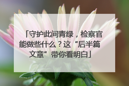 守护此间青绿，检察官能做些什么？这“后半篇文章”带你看明白