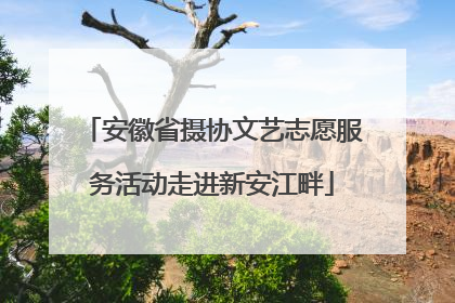 安徽省摄协文艺志愿服务活动走进新安江畔