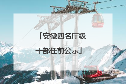 安徽四名厅级干部任前公示
