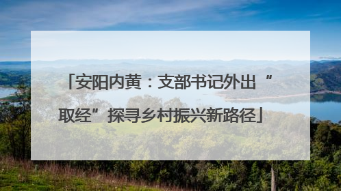 安阳内黄：支部书记外出“取经”探寻乡村振兴新路径