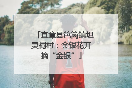 宜章县笆篱镇坦灵祠村：金银花开摘“金银”