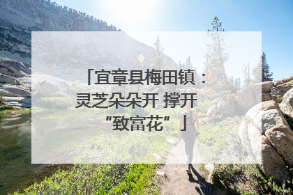 宜章县梅田镇：灵芝朵朵开 撑开“致富花”