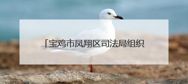 宝鸡市凤翔区司法局组织开展“观红色电影 学百年党史”主题党日活动