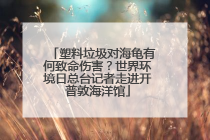 塑料垃圾对海龟有何致命伤害？世界环境日总台记者走进开普敦海洋馆